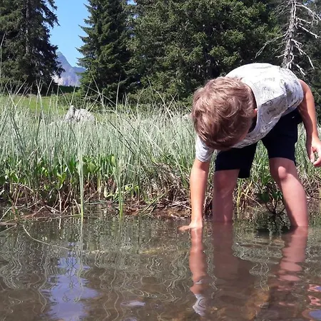 Appartement Enzian *