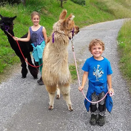 Enzian Appartement *